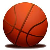 Basket Ball Shooter Pro أيقونة