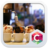 Cute Pet Theme C Launcher icon