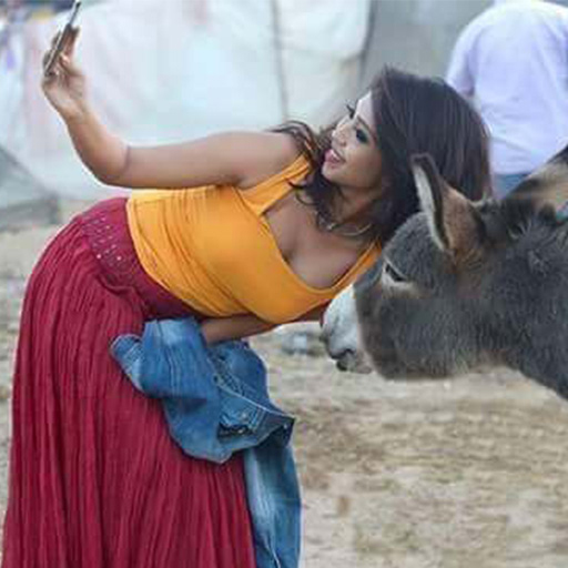 Comedy Munch - Best Comedy Videos icon