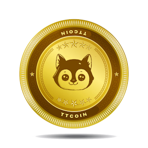 TT Coin - Network Guide icon