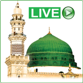 Madina Live أيقونة