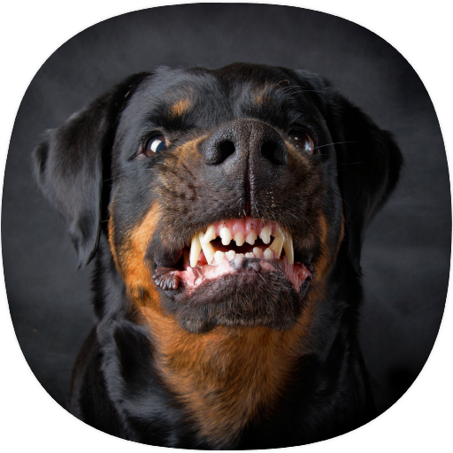 Barking Dog Ringtones icon