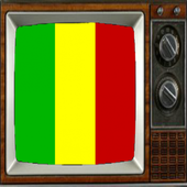Satellite Mali Info TV icon
