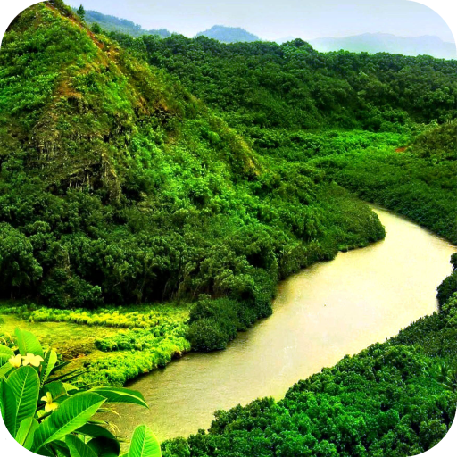 River Wallpaper Best 4K icon