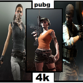Pubg Wallpapers 4k icon