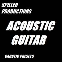 Caustic Preset Acoustic Guitar on 9Apps