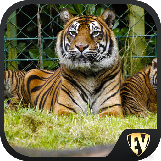 Famous Zoos Travel &amp; Explore G icon