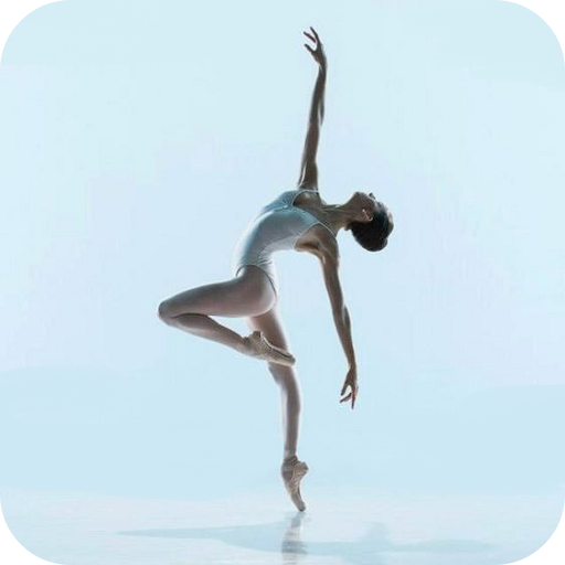Practice Ballet At Home icon