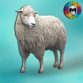My Sheep Simulator icon