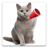 Cat Sounds icon