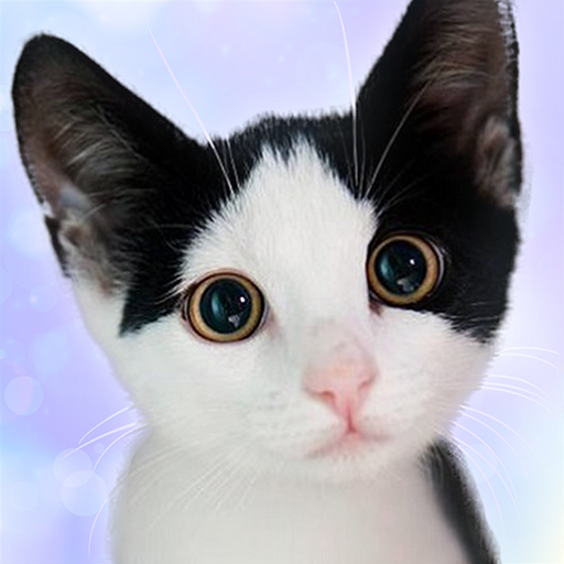 Говорящий Девон Рекс иконка