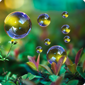 Fingerprint App Lock and Call Lock Theme Nature icon