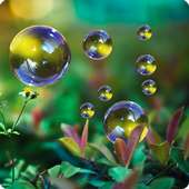 Fingerprint App Lock and Call Lock Theme Nature on 9Apps