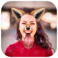 Live Face Camera - Live Face Sticker &Photo Editor