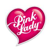 PinkLady Mobile on 9Apps