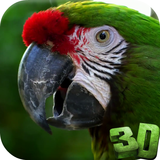 Parrot 3D Video Live Wallpaper icon