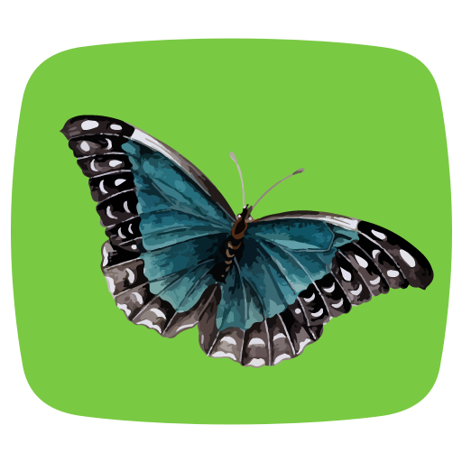 Analog Clock Widget Butterfly icon