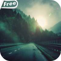 Mystic Road Video Wallpaper