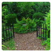 प्रकृति वॉलपेपर icon