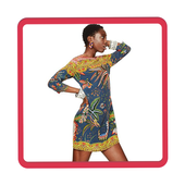 Desigual Dresses icon