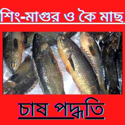 শিং-মাগুর ও কৈ মাছ চাষ পদ্ধতি-fish farming icon
