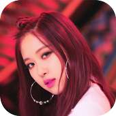 Rose Blackpink Wallpaper on 9Apps