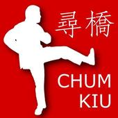 Wing Chun Chum Kiu Form icon