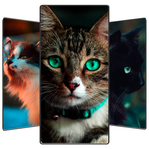 Cute Cat Wallpaper icon