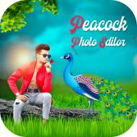 Peacock photo Editor 2019 on 9Apps