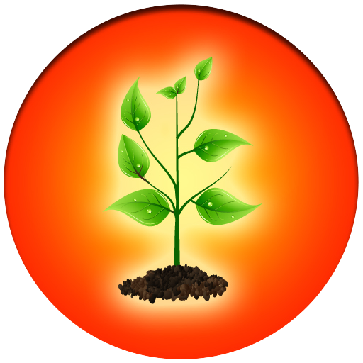 Kuran Fidan أيقونة