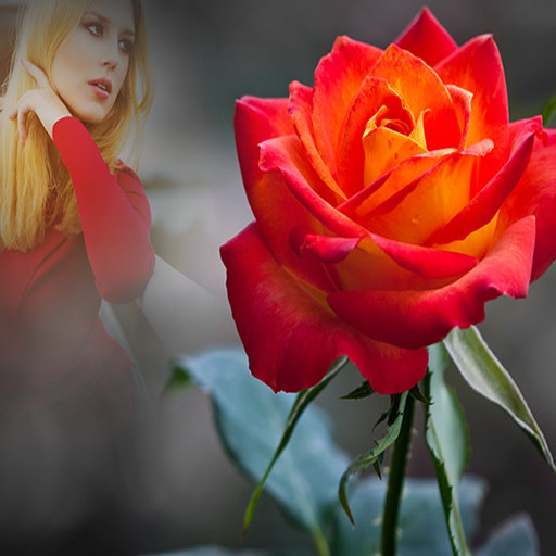 Flower Photo Frames icon