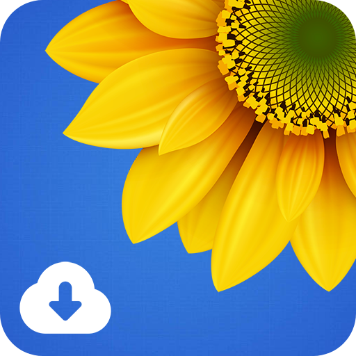 Gallery VideoPlayer &amp; Download icon
