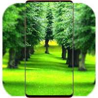 Nature Wallpaper HD on 9Apps