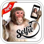 Selfie With Monkey icon