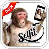 Selfie With Monkey on 9Apps