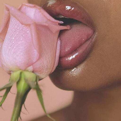 Pro-iSaver for Videos &amp; Images😋 icon