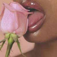 Pro-iSaver for Videos & Images😋