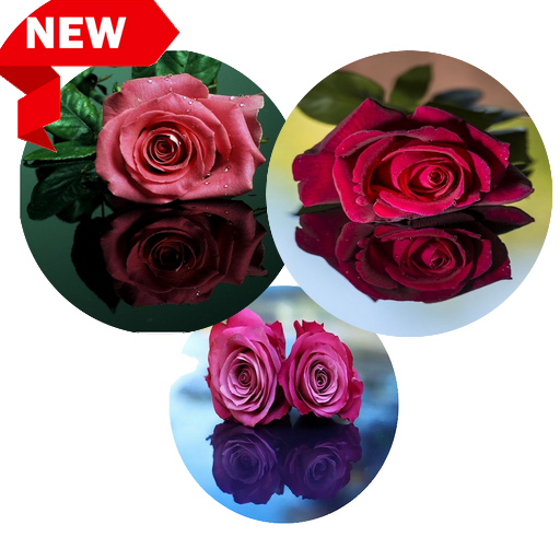 Best Flowers Romantic icon