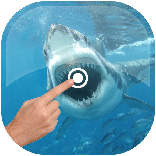 Magic Touch - Shark In Water icon