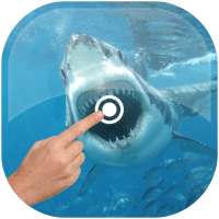 Magic Touch - Shark In Water on 9Apps