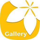 Gallery icon
