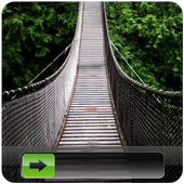 Green Jungle GO Locker icon