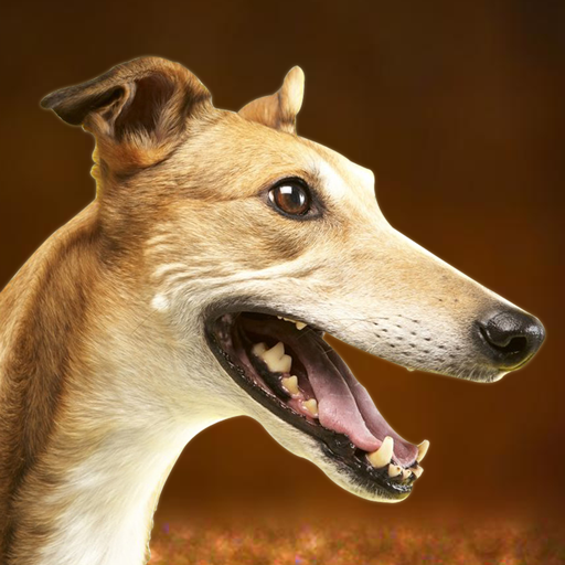 ग्रेहाउंड डॉग सिम्युलेटर आइकन