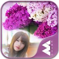 Lilac Flower Photo Frames
