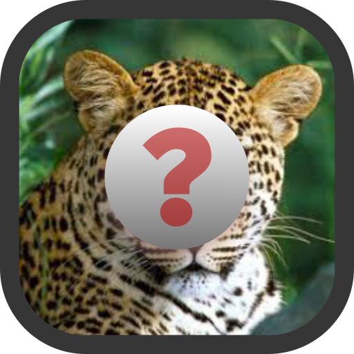 English Nouns Learning Game (Guessing) icon