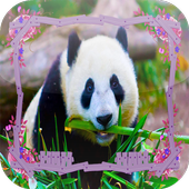 Panda Jigsaw Puzzles icon