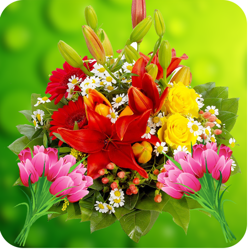 Flowers Wallpapers HD icon