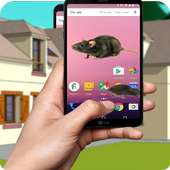 Mouse On Screen plus  funny joke 2017