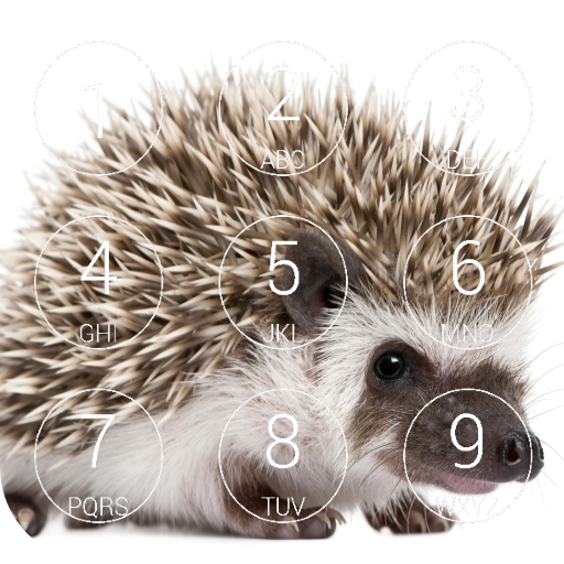Hedgehog Lock Screen icon