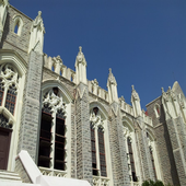 Home Screen Wallpapers icon